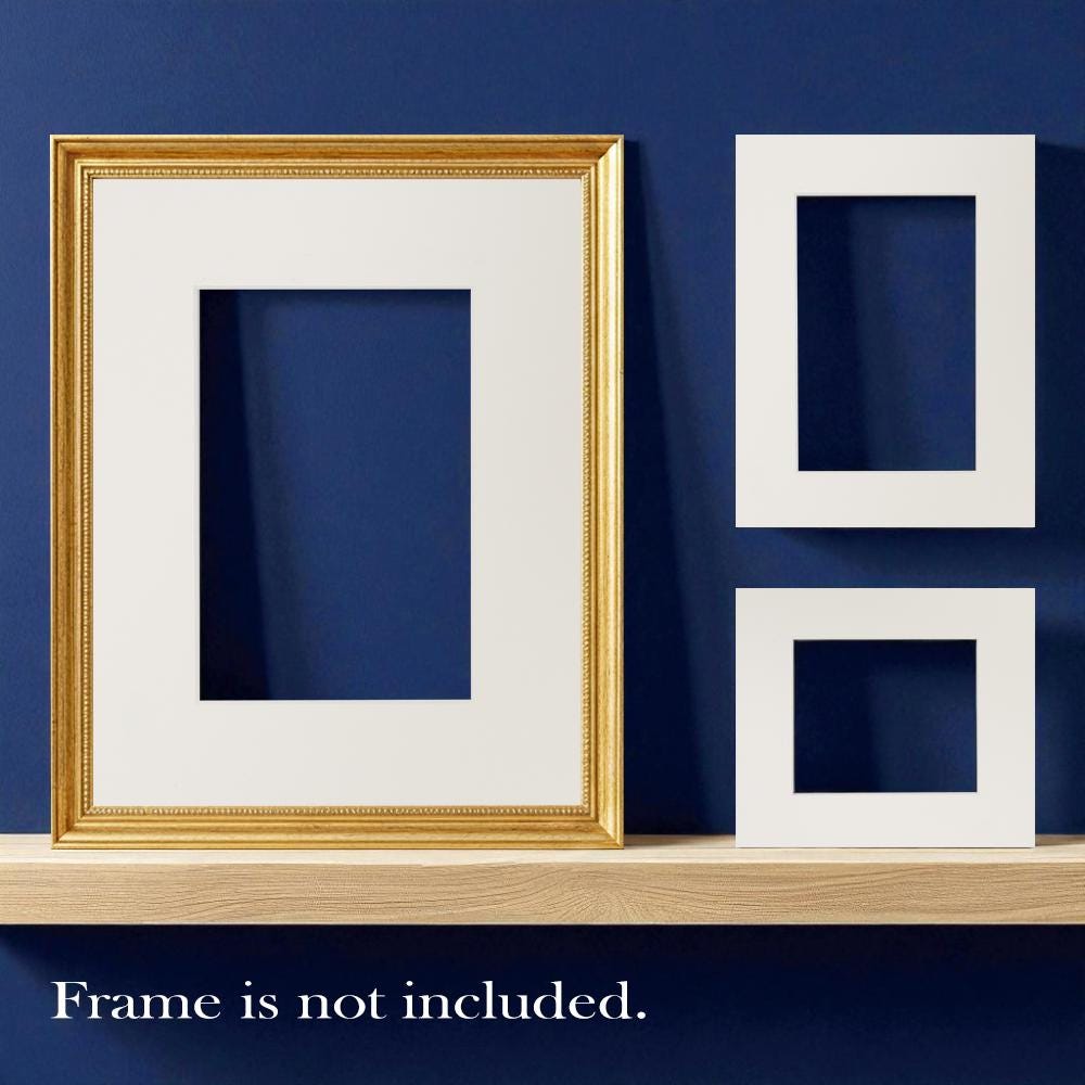 Bright white picture mount solid core | choose size | smooth fatg 1 museum