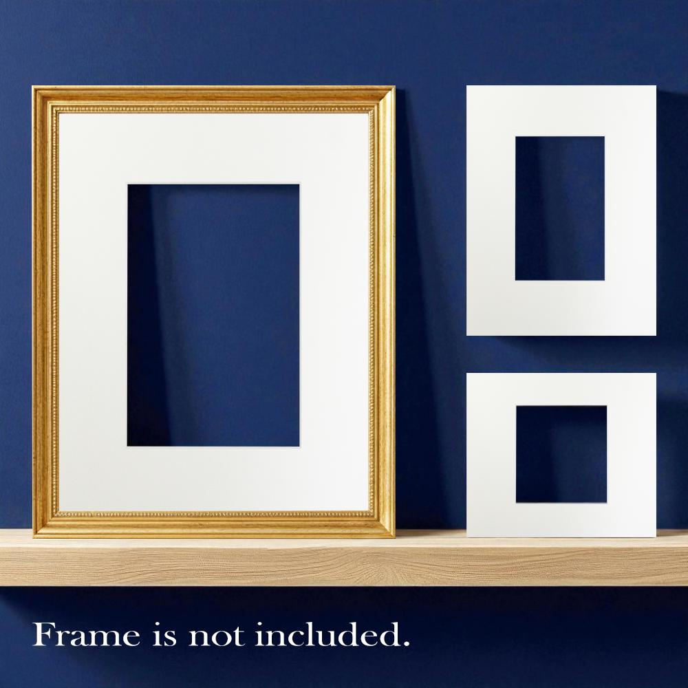 Bright white picture mount white core munken | choose size | smooth fsc fatg 2