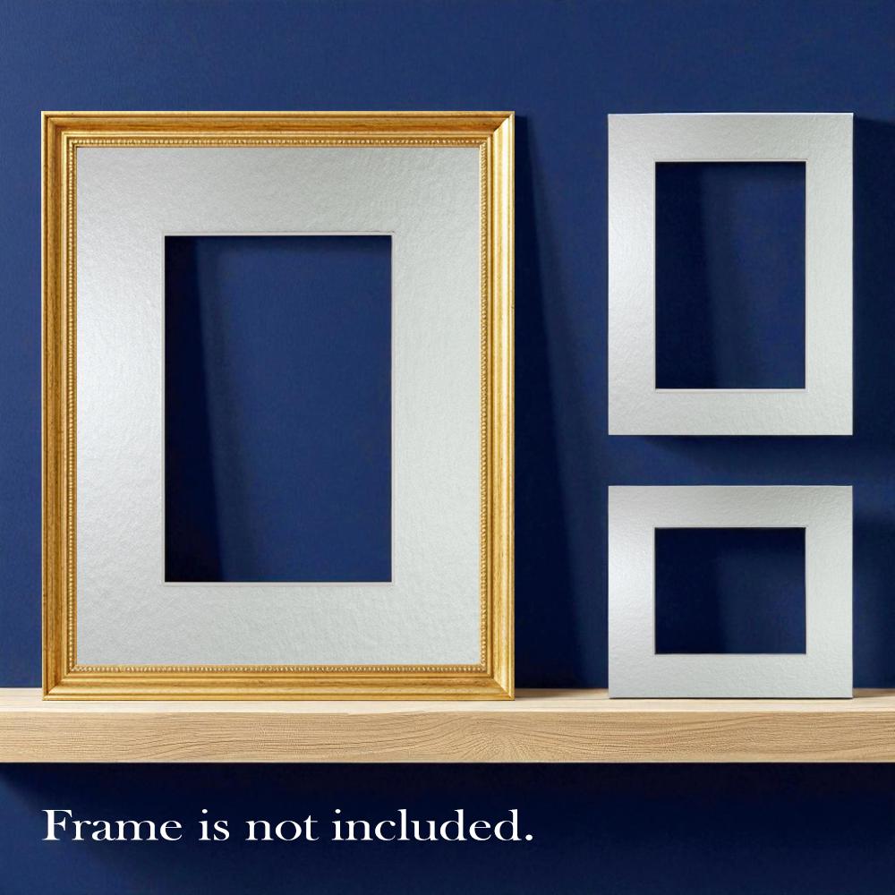 Silver picture mount white core | choose size | smooth fsc fatg 3